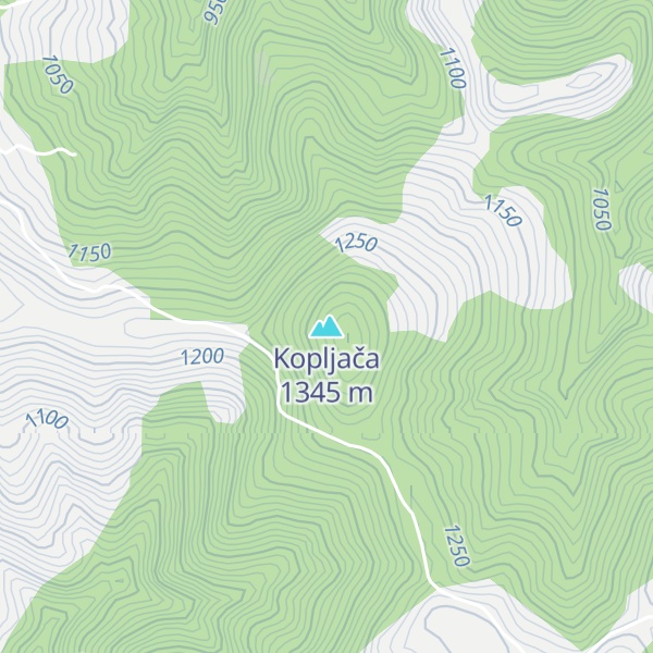 Map of Kopljača