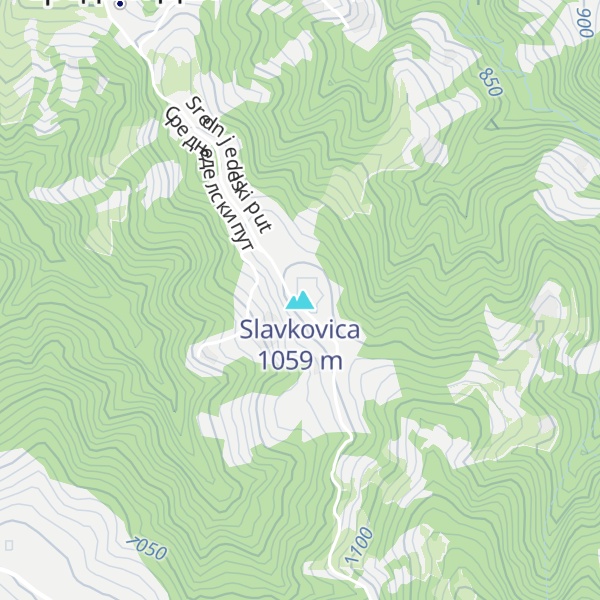 Map of Slavkovica