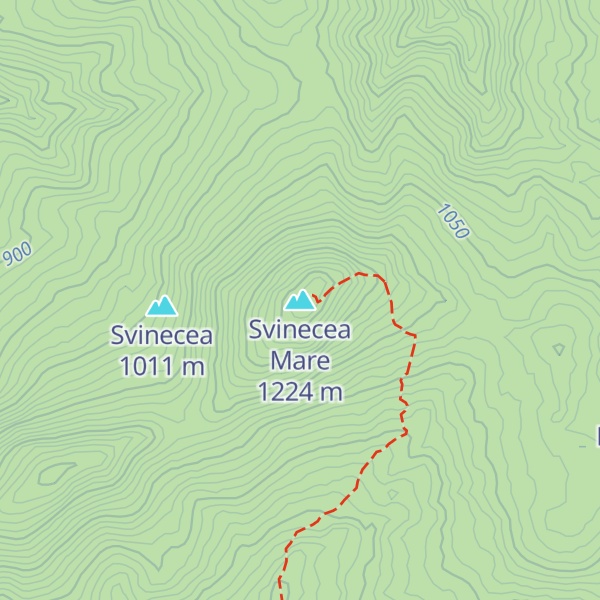 Map of Svinecea Mare