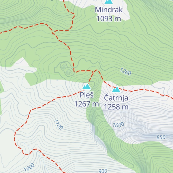 Map of Pleš