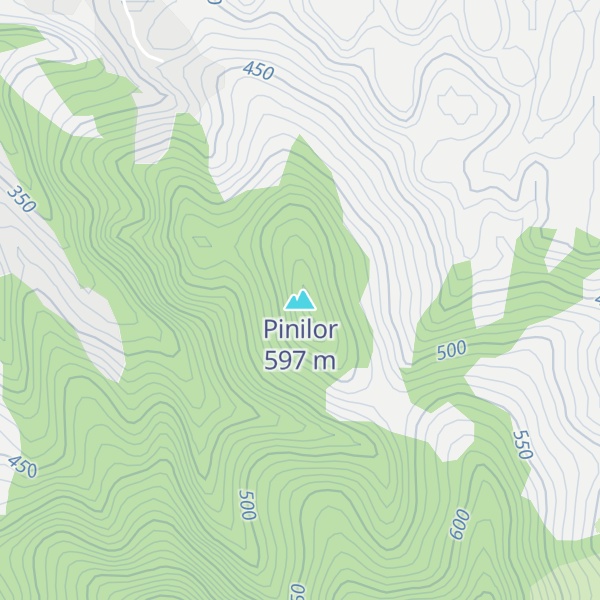 Map of Pinilor