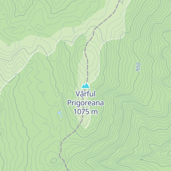 Map of Vârful Prigoreana