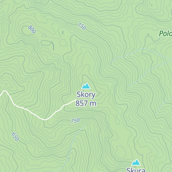 Map of Skory