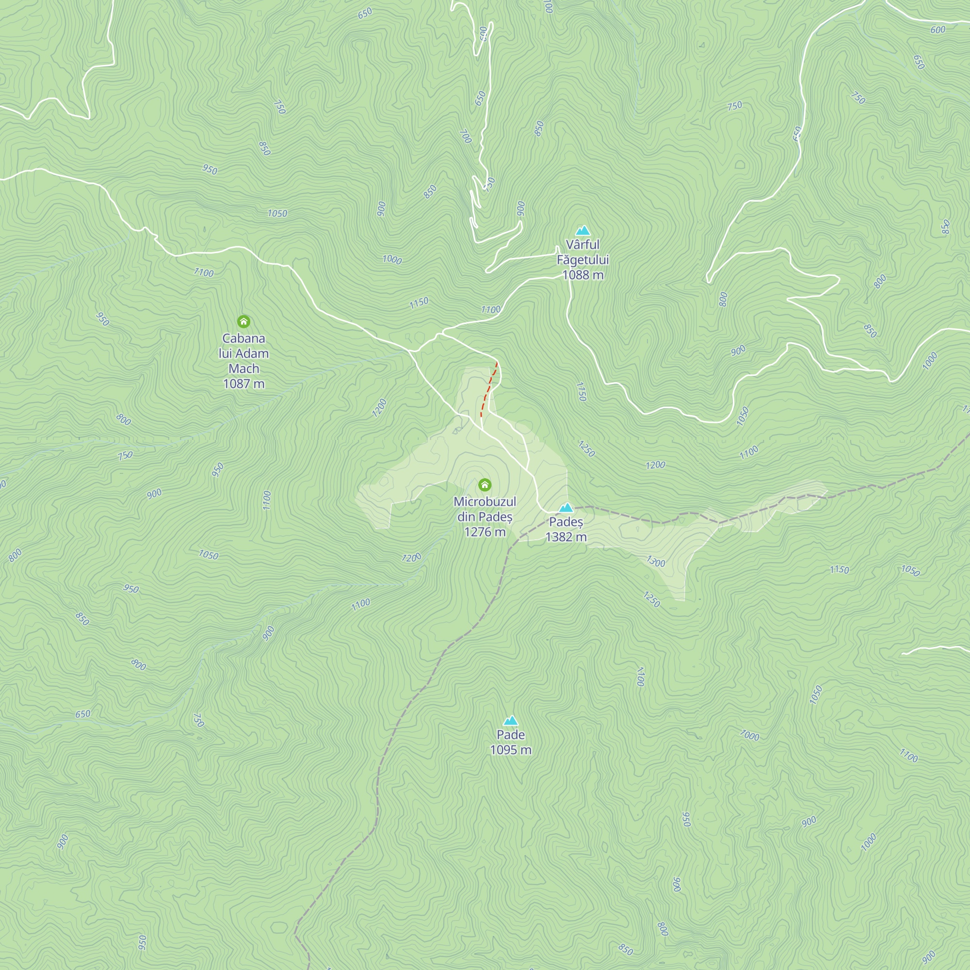Microbuzul din Padeș map