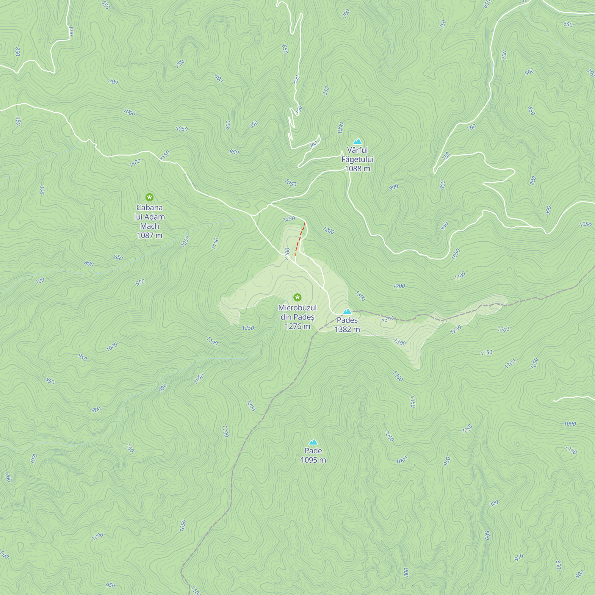 Microbuzul din Padeș map