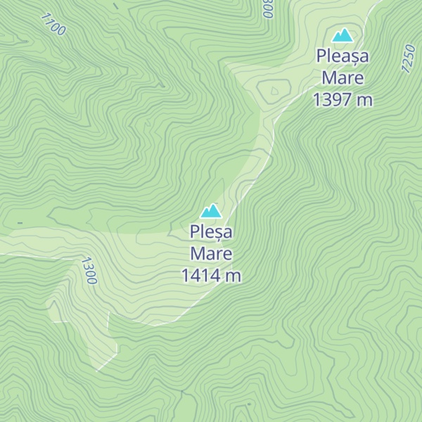 Map of Pleșa Mare