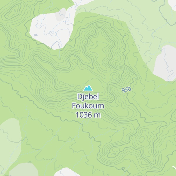 Map of Djebel Foukoum