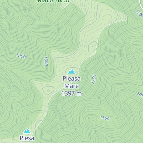 Map of Pleașa Mare