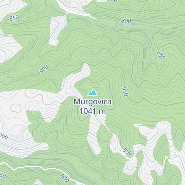 Map of Murgovica