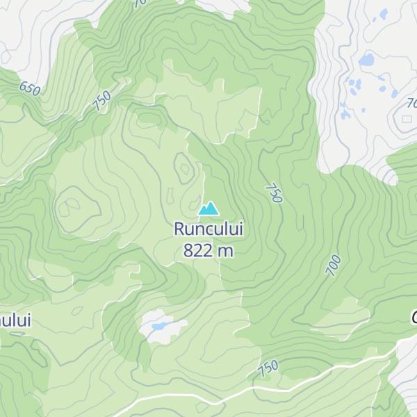 Map of Runcului