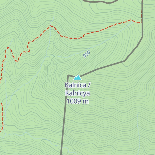 Map of Kalnica / Kalnicya