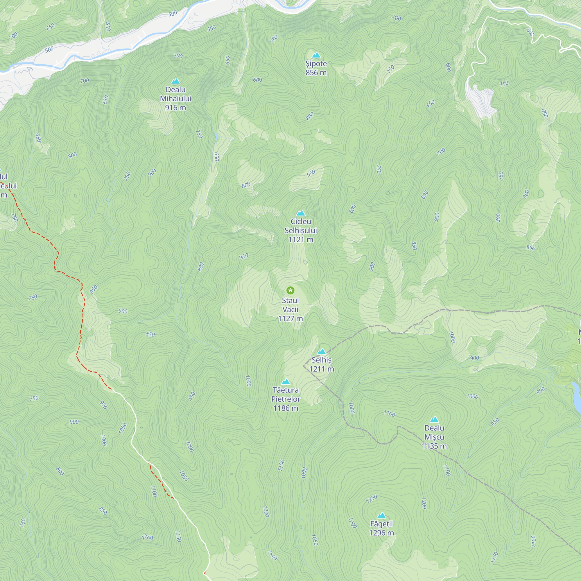 Staul Vacii map
