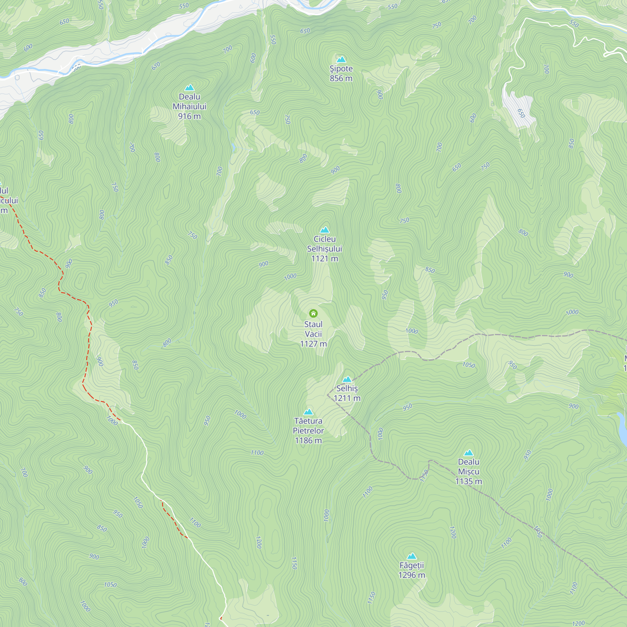 Staul Vacii map