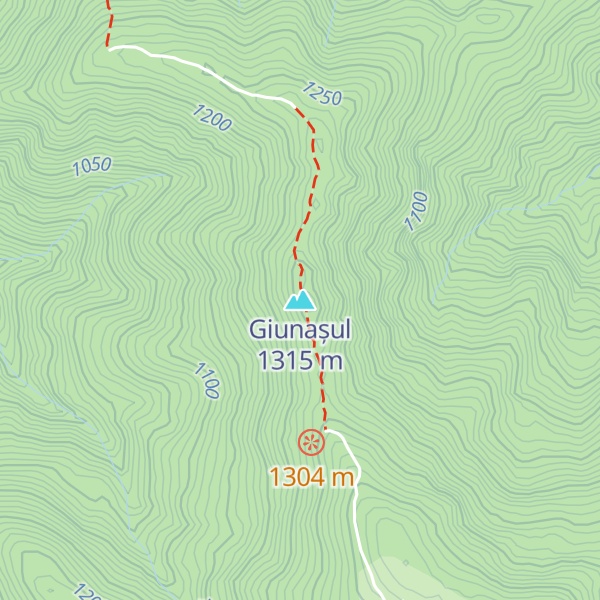 Map of Giunașul