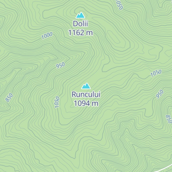 Map of Runcului
