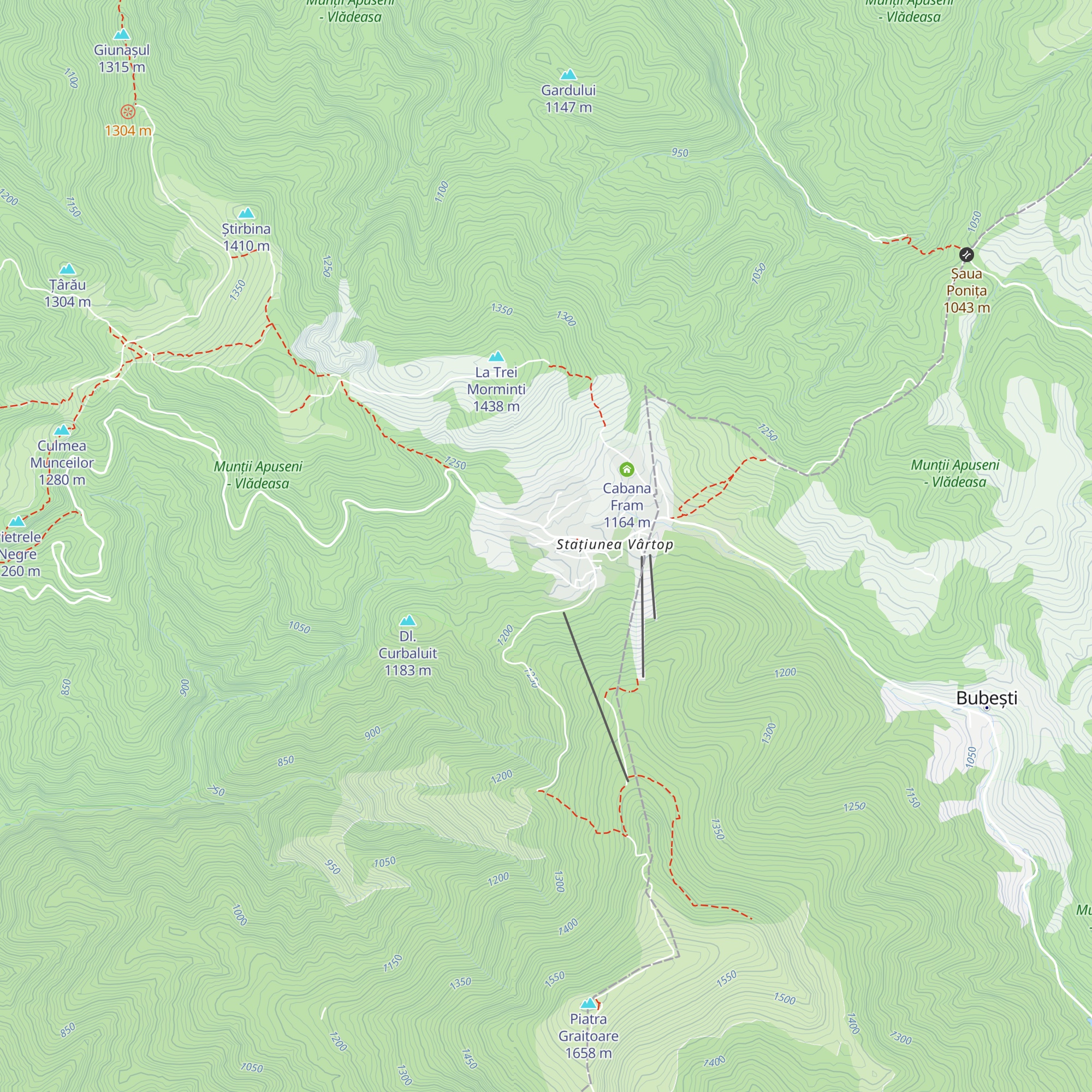 Cabana Trei Brazi map