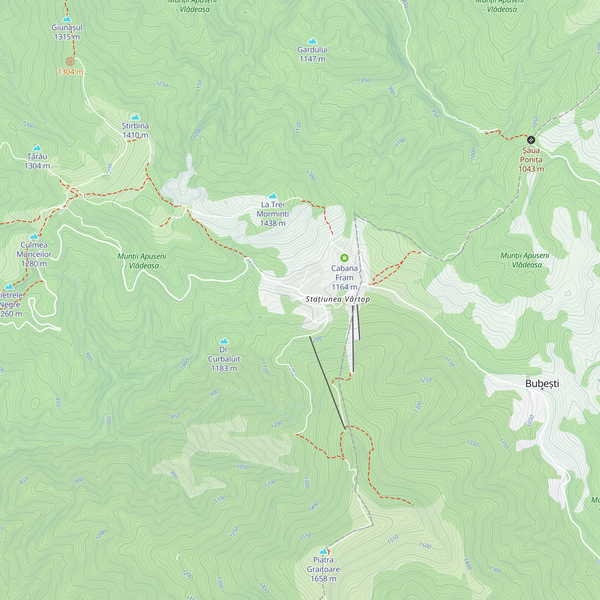 Cabana Trei Brazi map