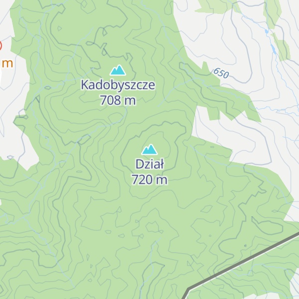 Map of Dział