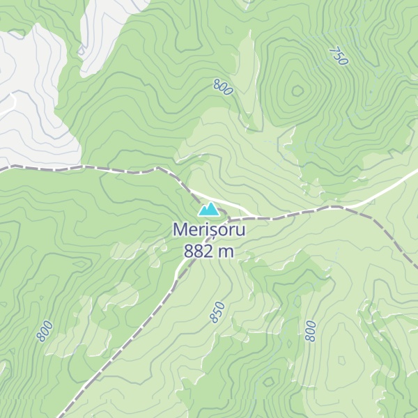 Map of Merișoru