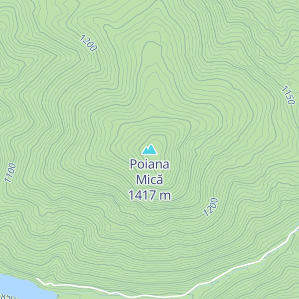 Map of Poiana Mică