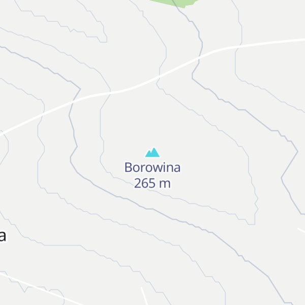 Map of Borowina