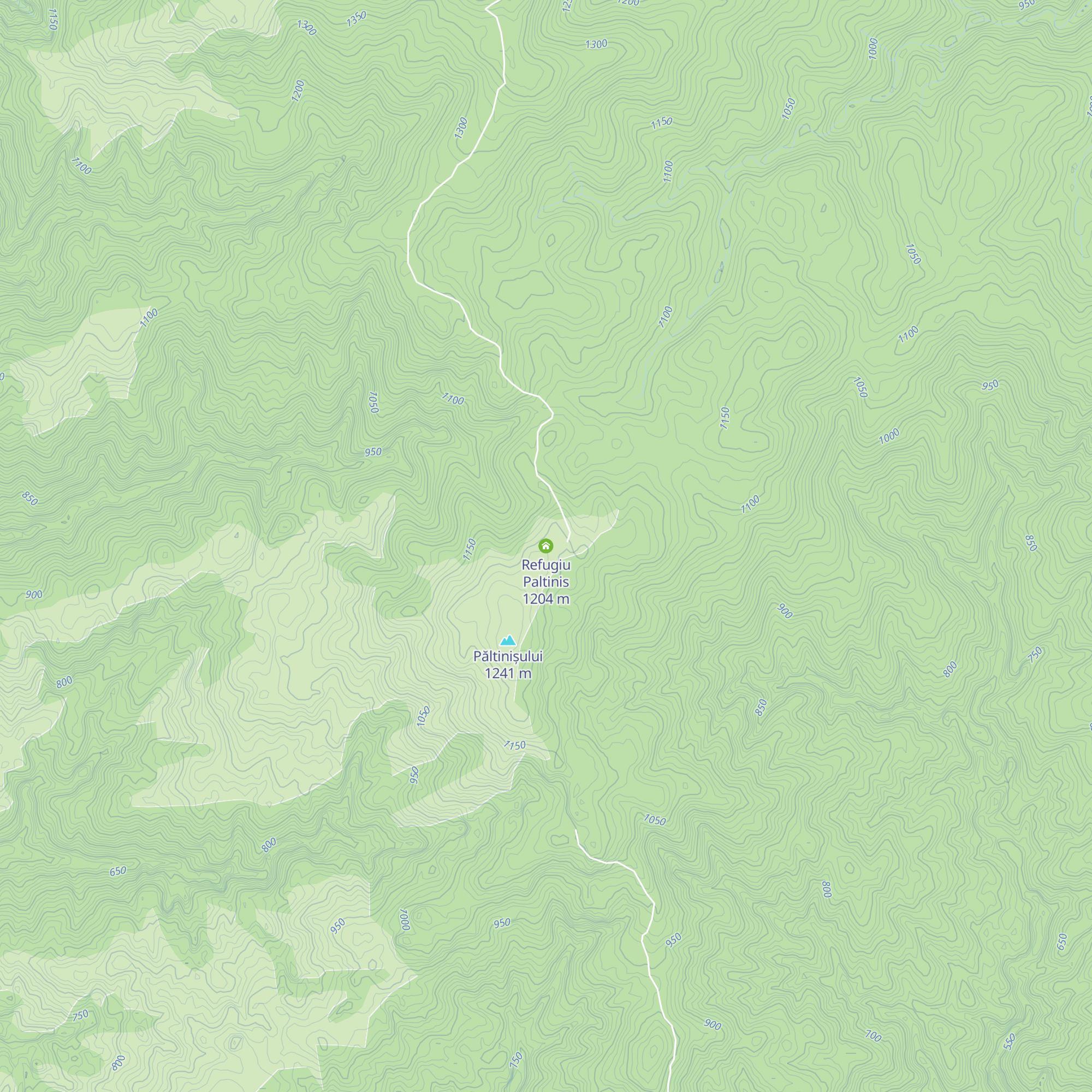 Refugiu Paltinis map