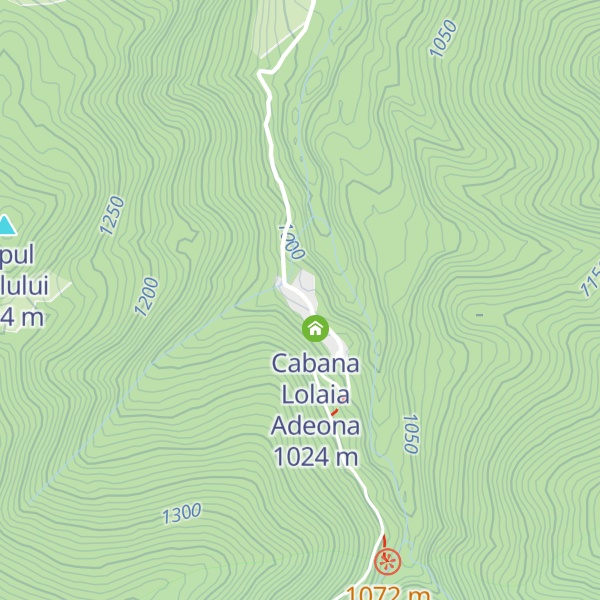 Map of Cabana Codrin