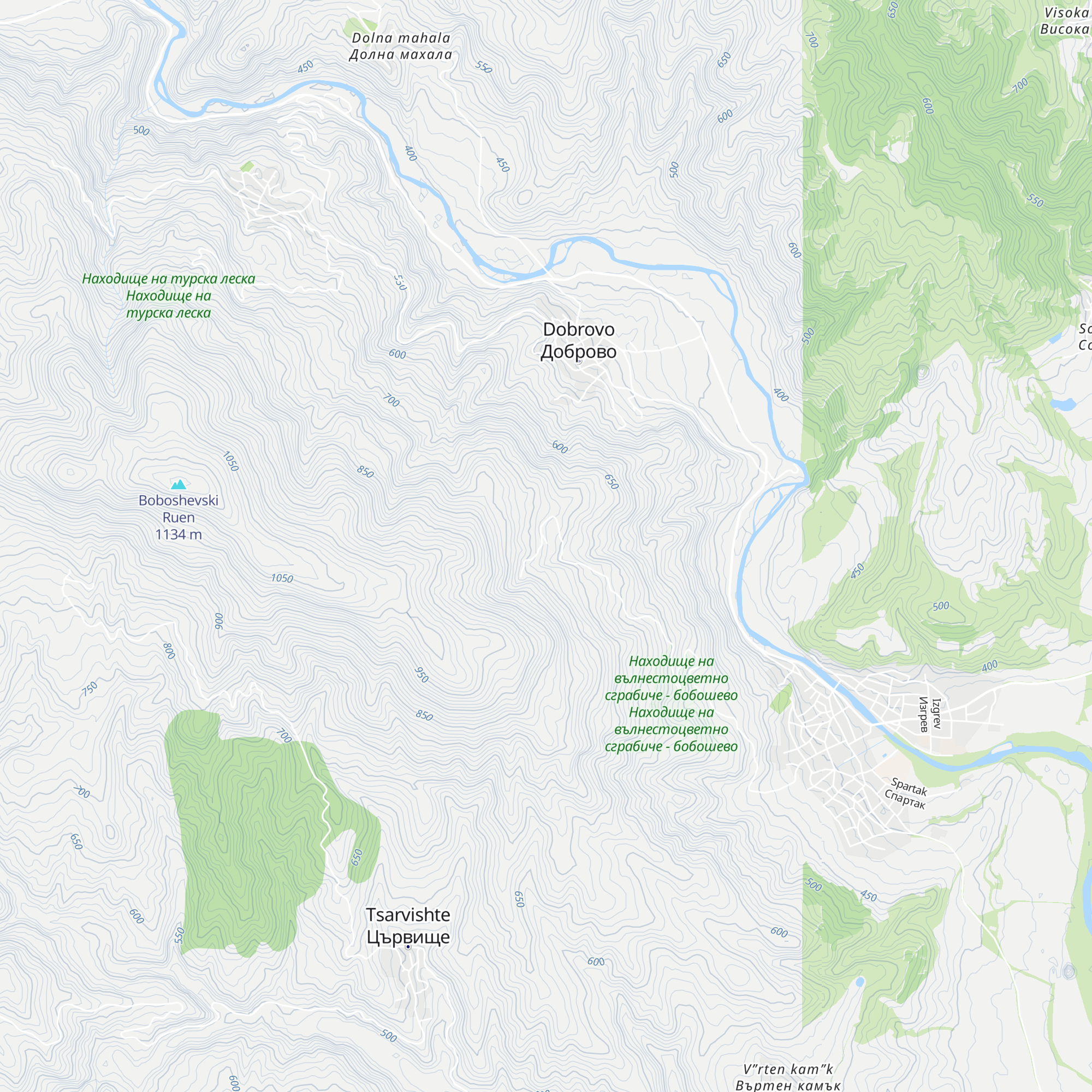 Hizha Pioner map