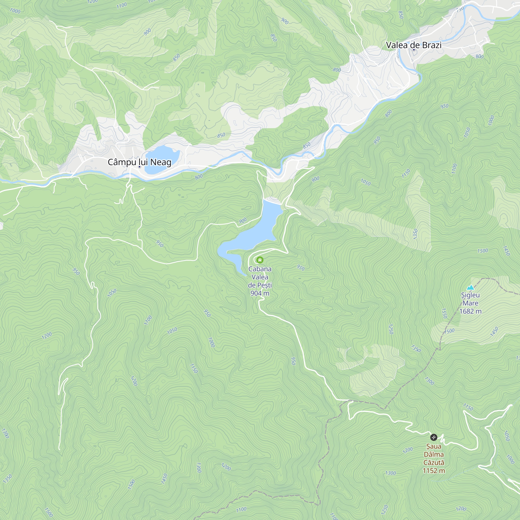 Cabana Valea de Pești map