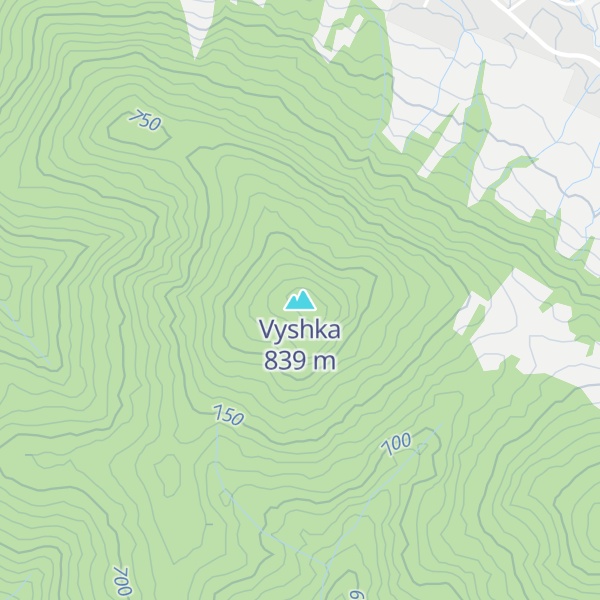 Map of Vyshka