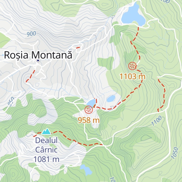 Map of Cabana Tăul Brazilor