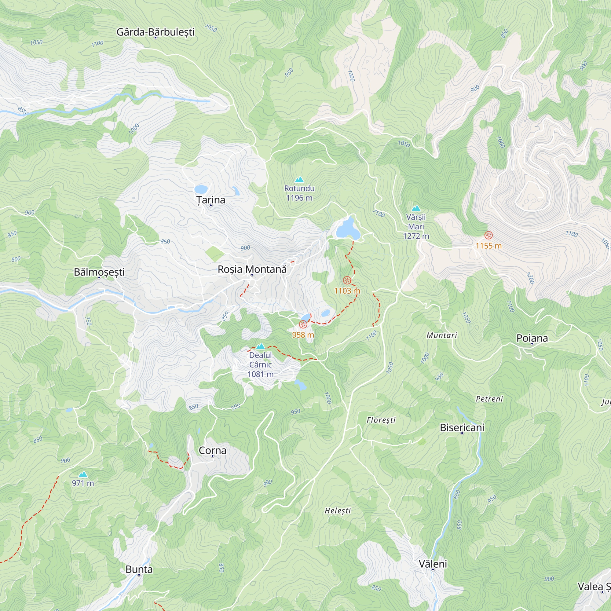Cabana Tăul Brazilor map