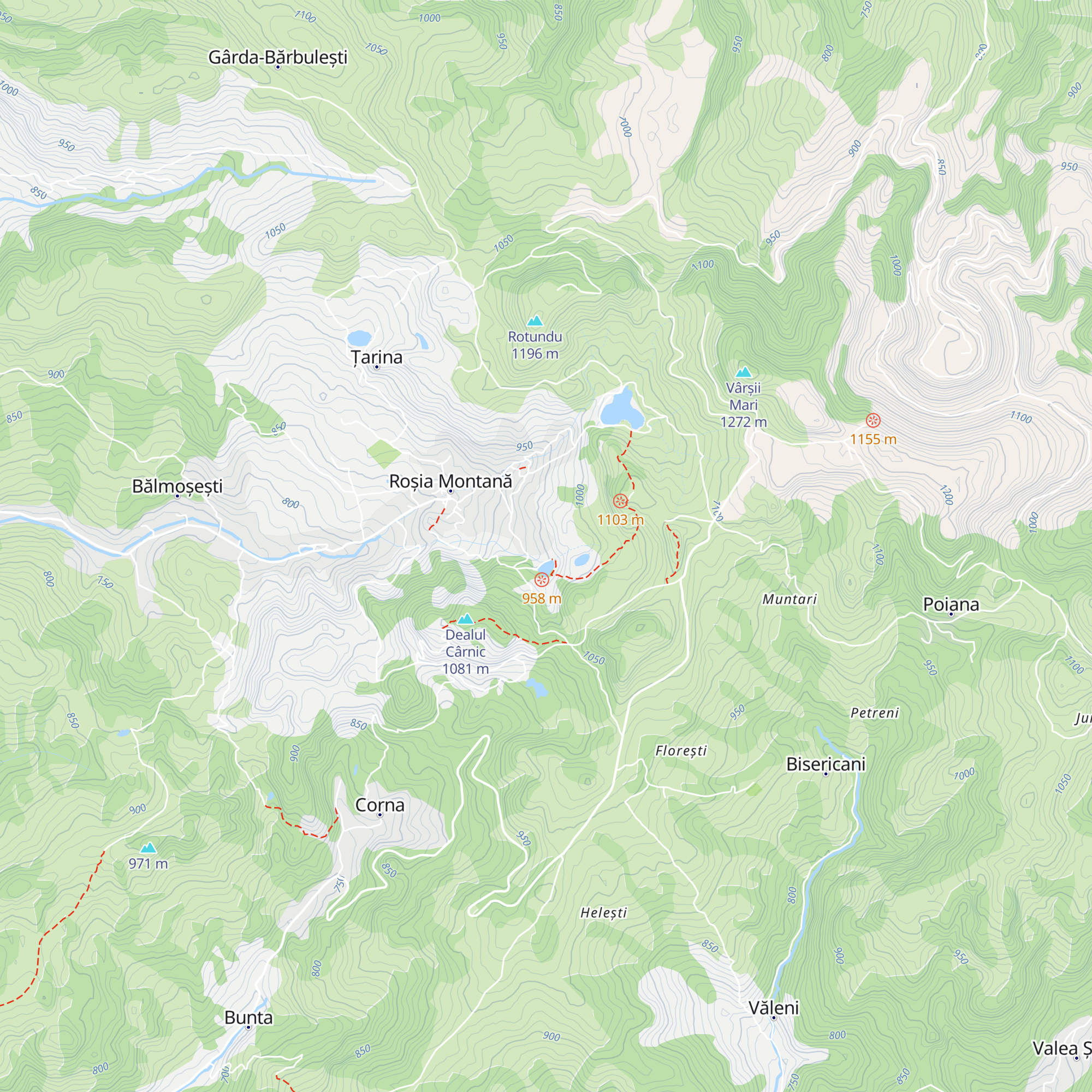 Cabana Tăul Brazilor map