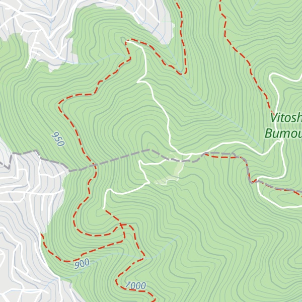 Map of Tsareva Polyana