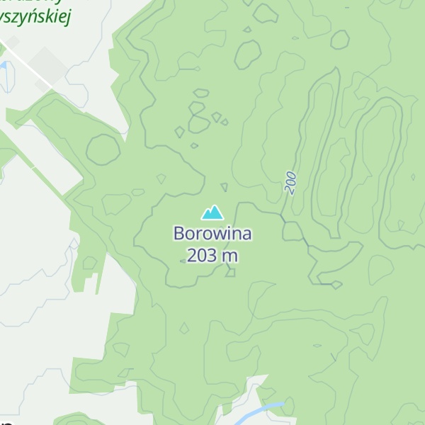 Map of Borowina