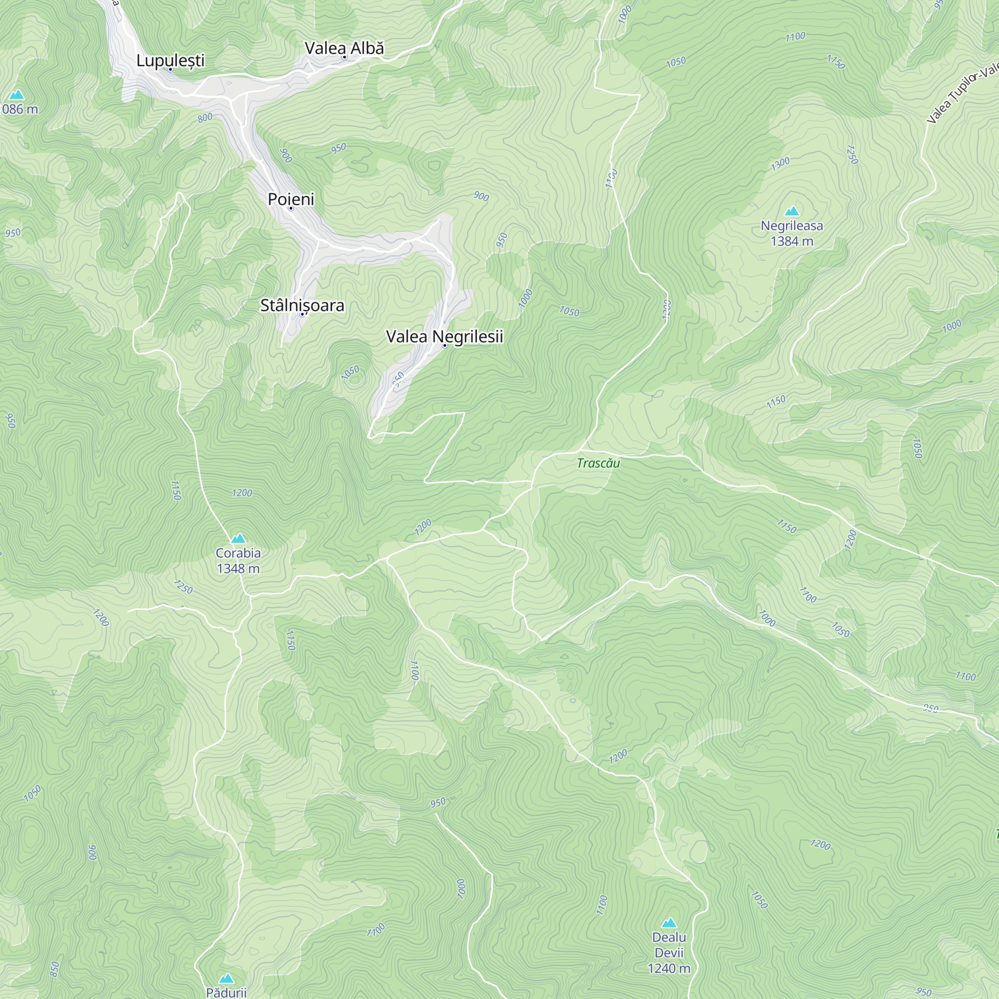 Cabana Negrileasa map