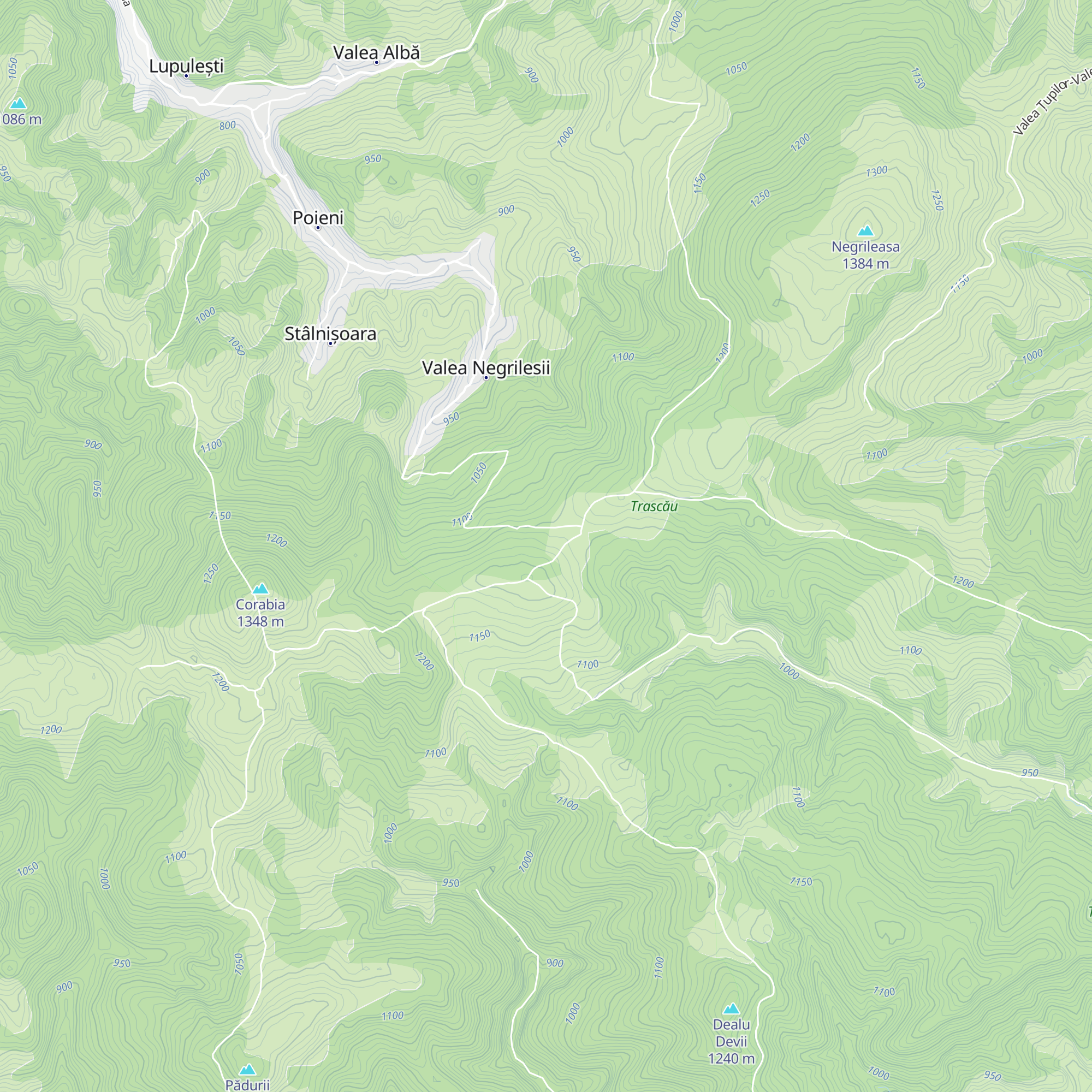Cabana Negrileasa map