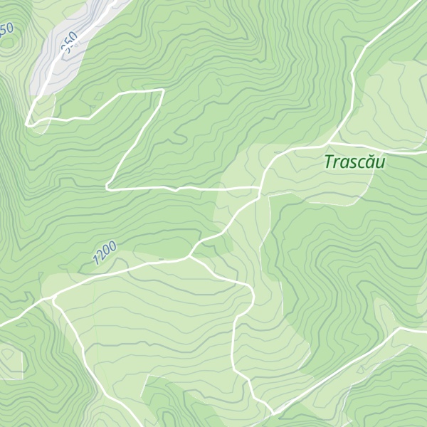 Map of Cabana Negrileasa