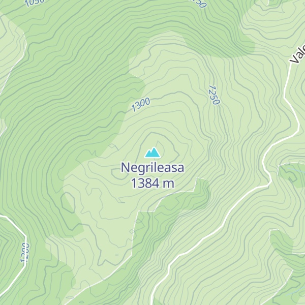 Map of Negrileasa