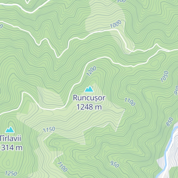 Map of Runcușor