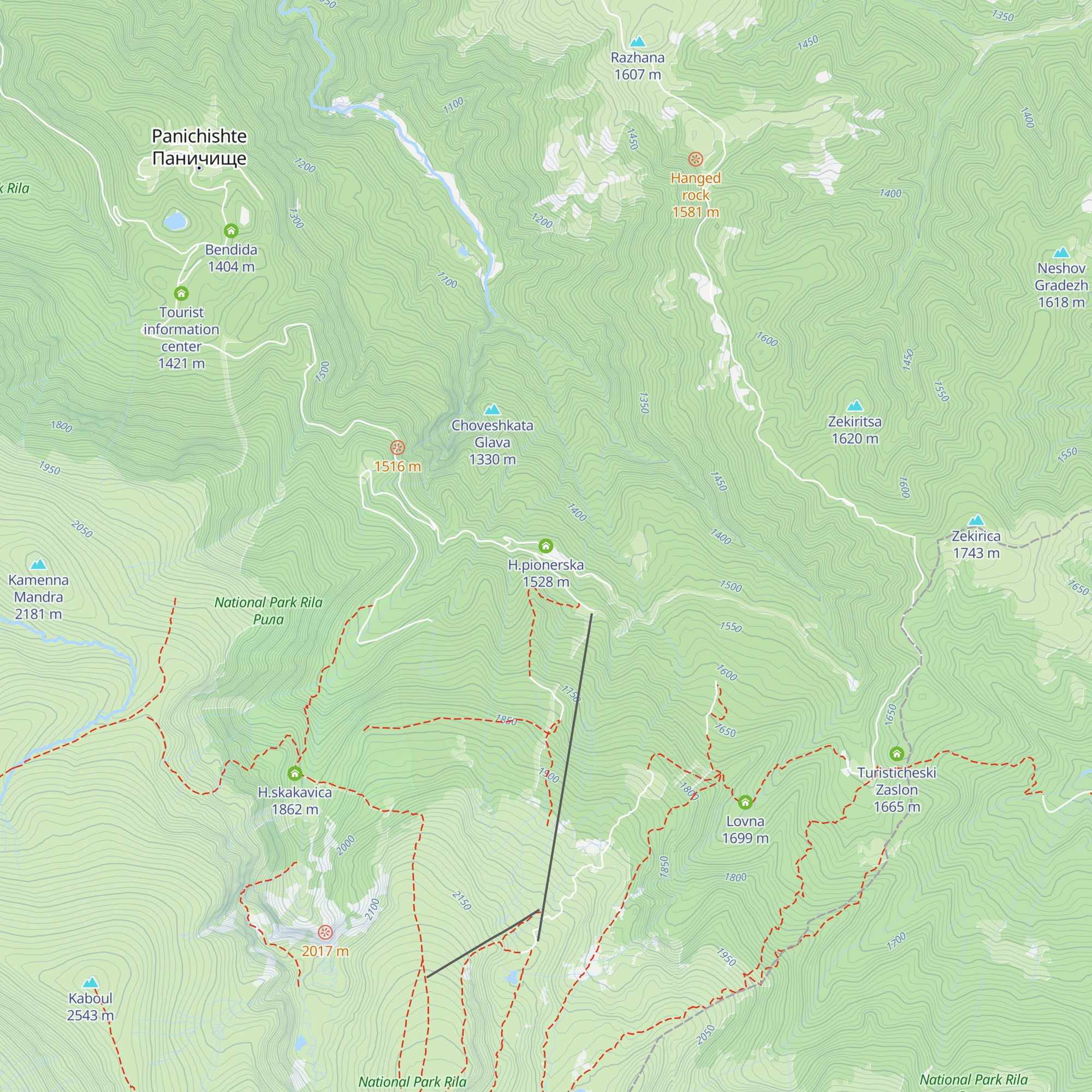 H.pionerska map