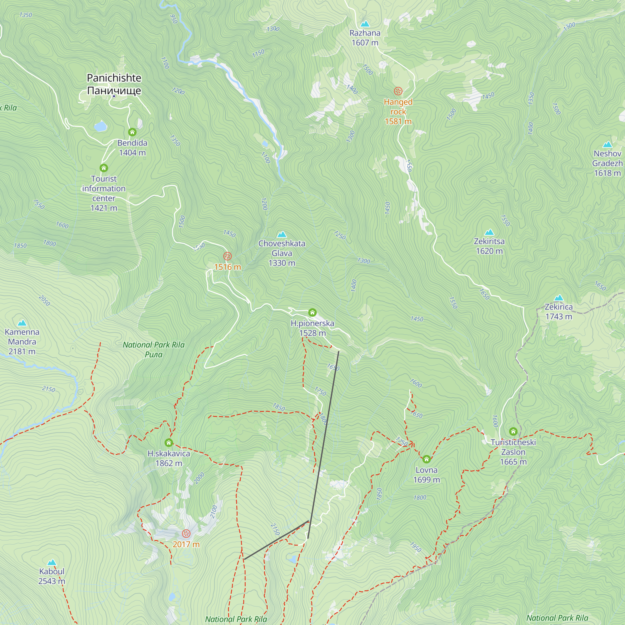 H.pionerska map
