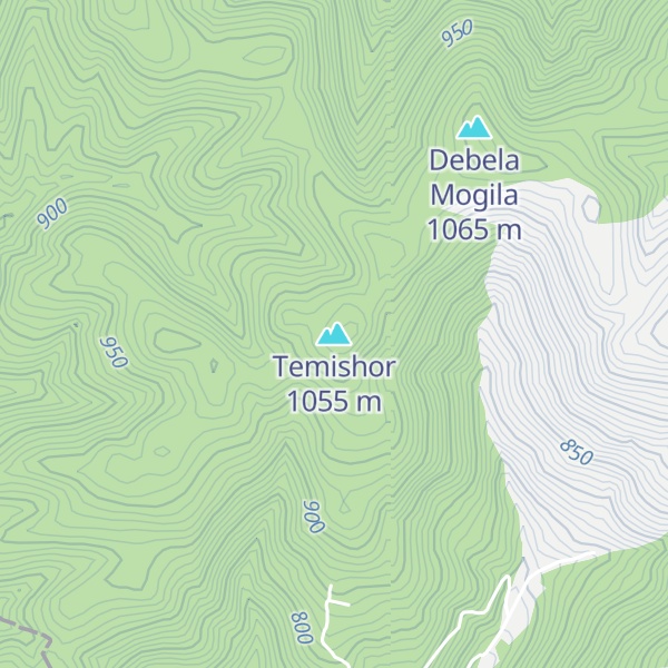 Map of Temishor