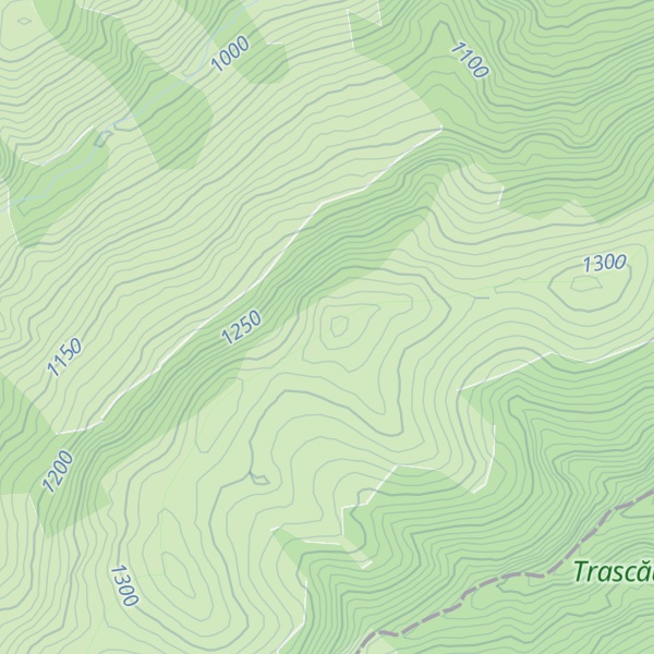 Map of Boinicu Mare
