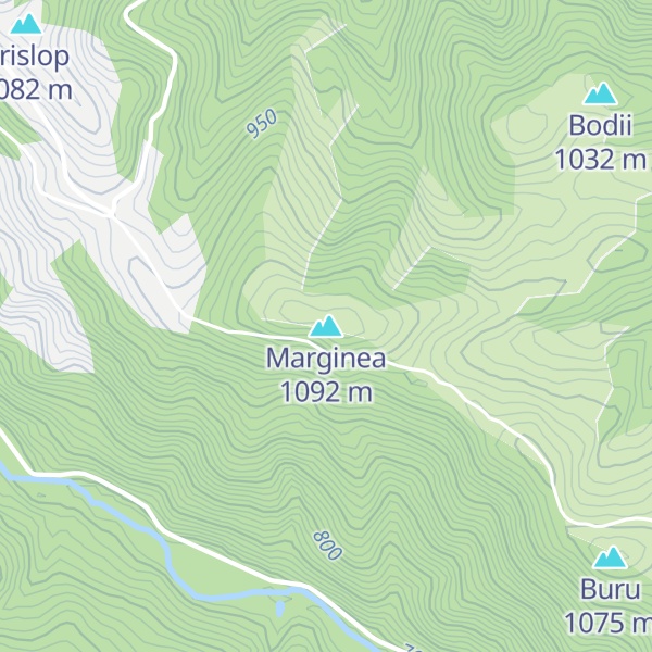 Map of Marginea