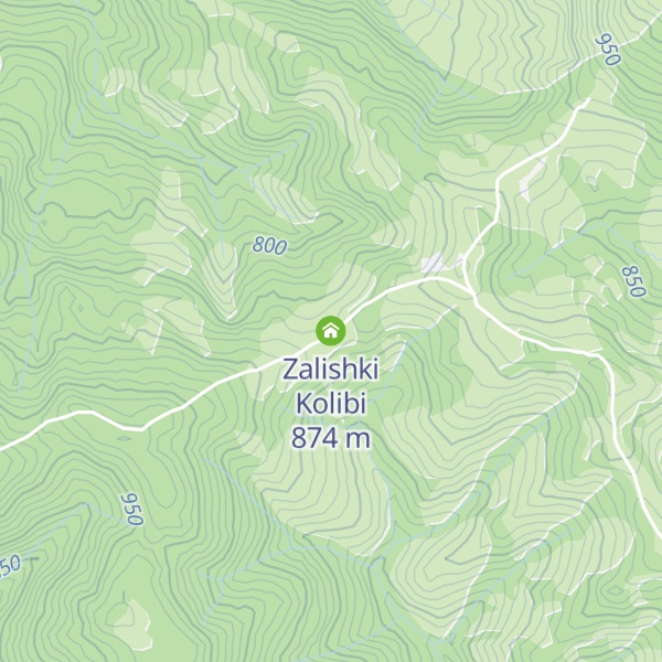 Map of Zalishki Kolibi