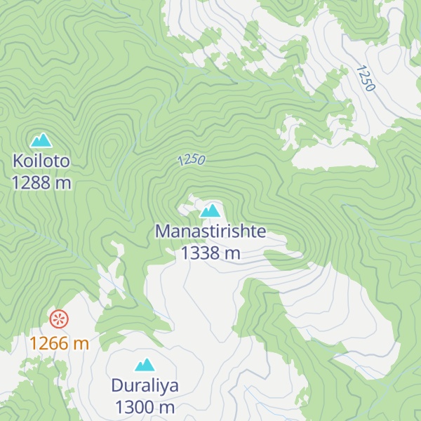Map of Manastirishte