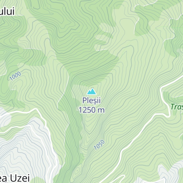 Map of Pleșii