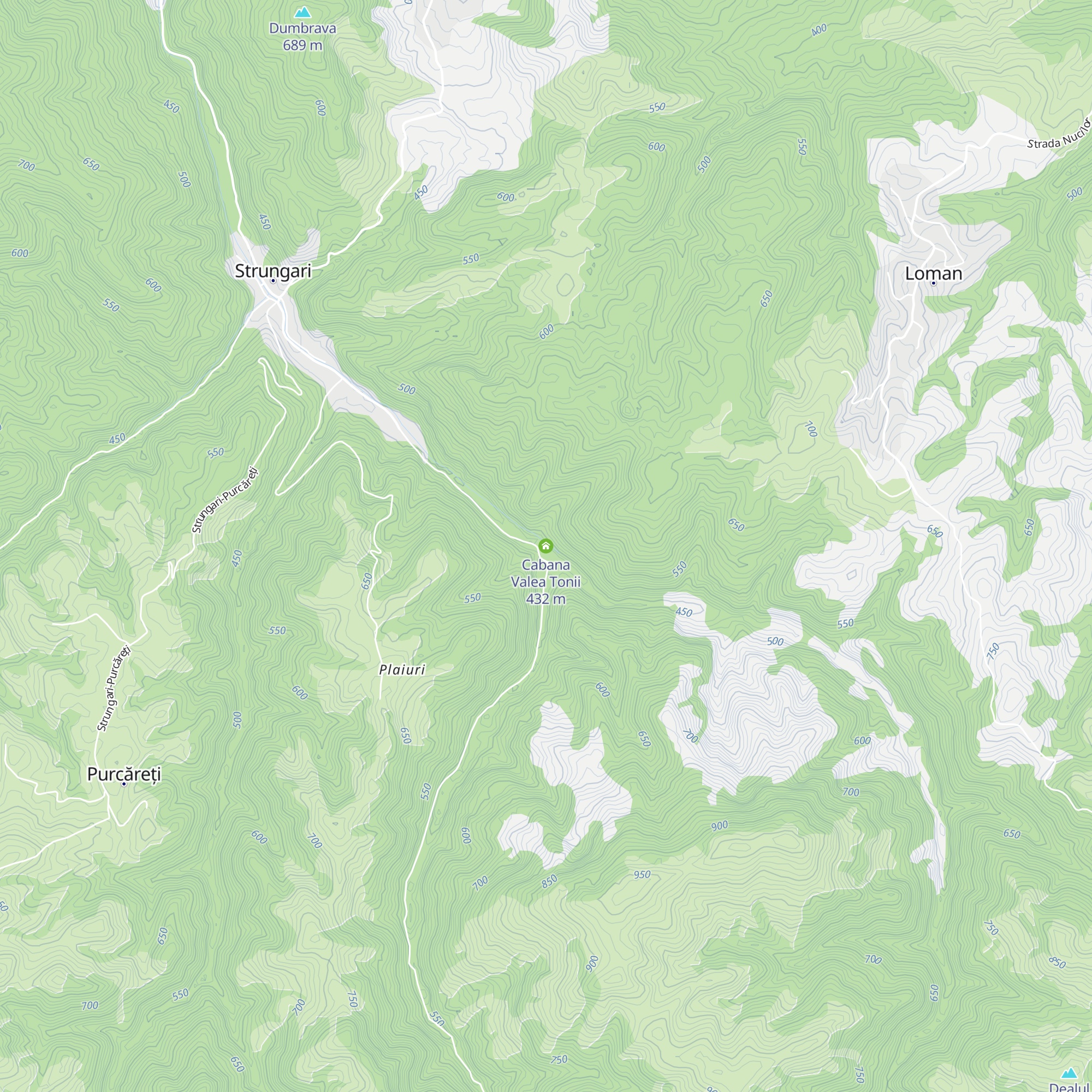 Cabana Valea Tonii map