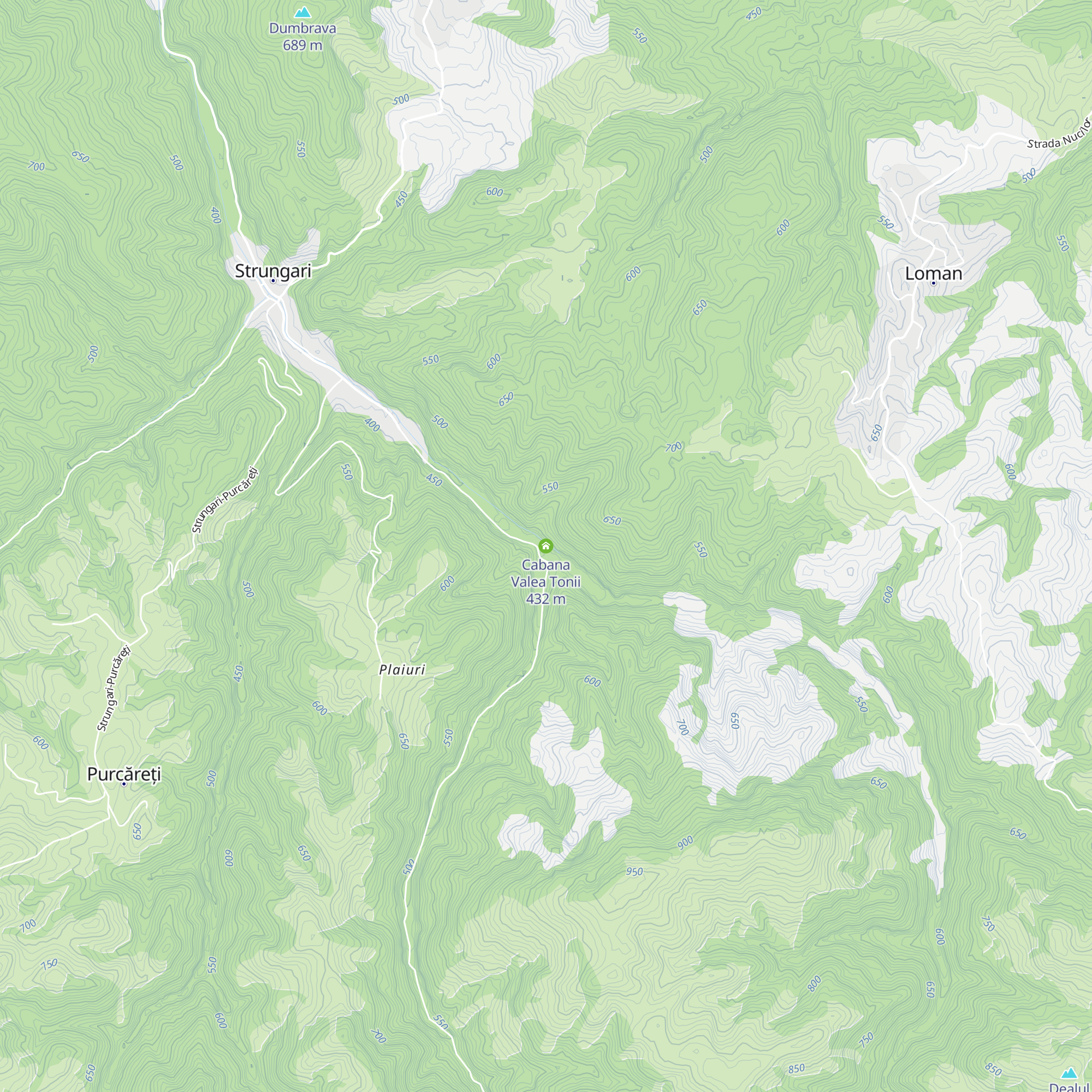 Cabana Valea Tonii map